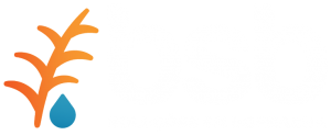 Logo-Branco-BSB-Solucoes-em-Borracha-300x123